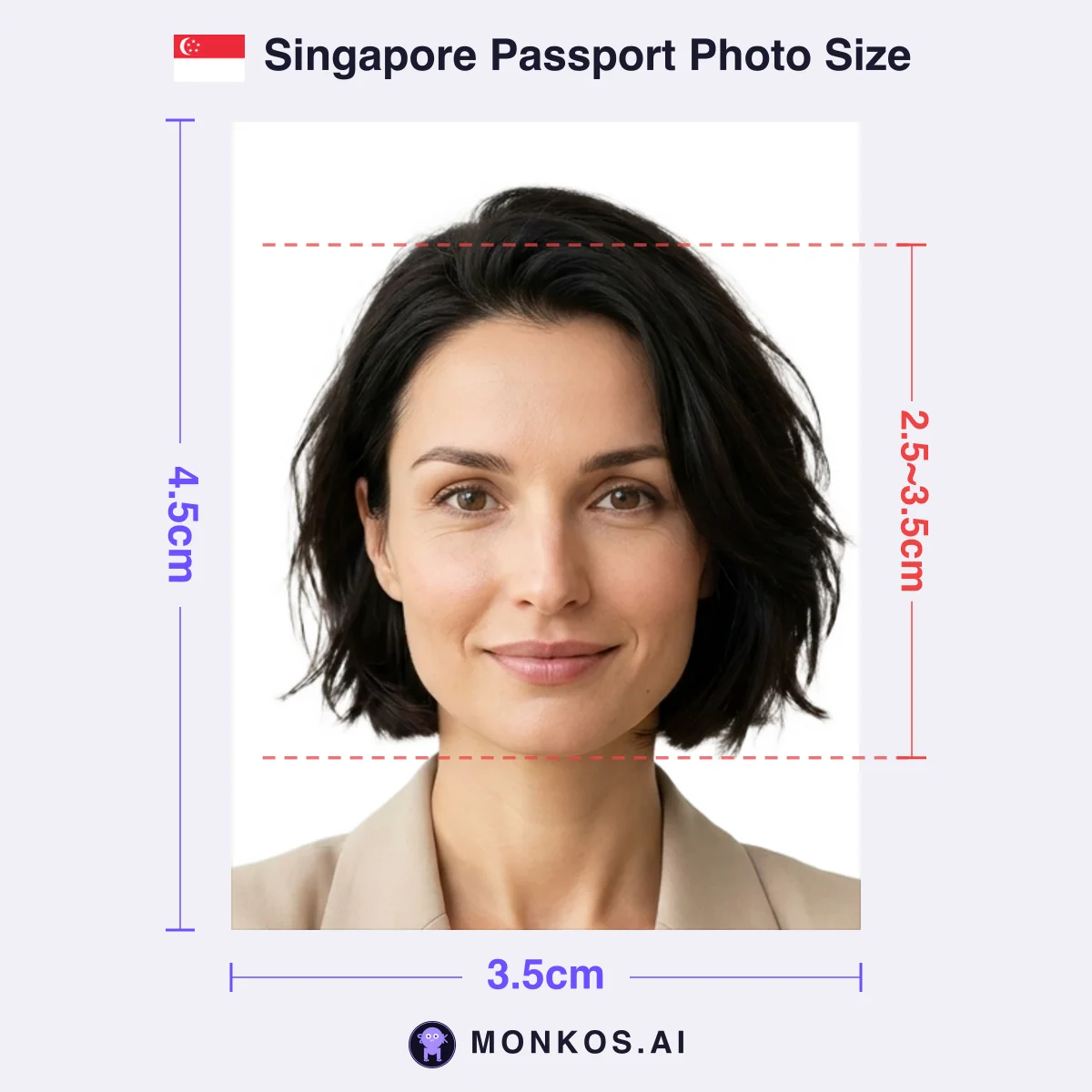 Singapore Passport 3.5 × 4.5cm